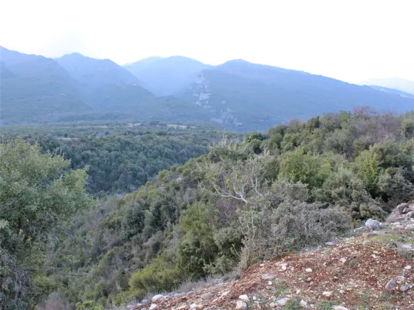 Land In Easts Olimpos, Greece