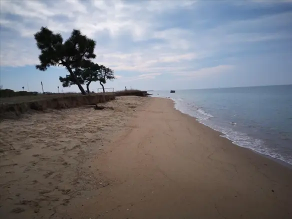 Land In Nea Propontida, Greece