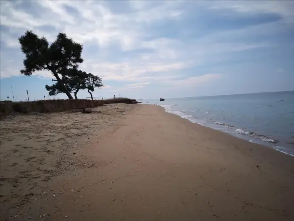Land In Nea Propontida, Greece