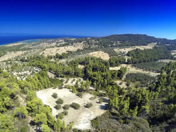Land In Kassandra, Greece