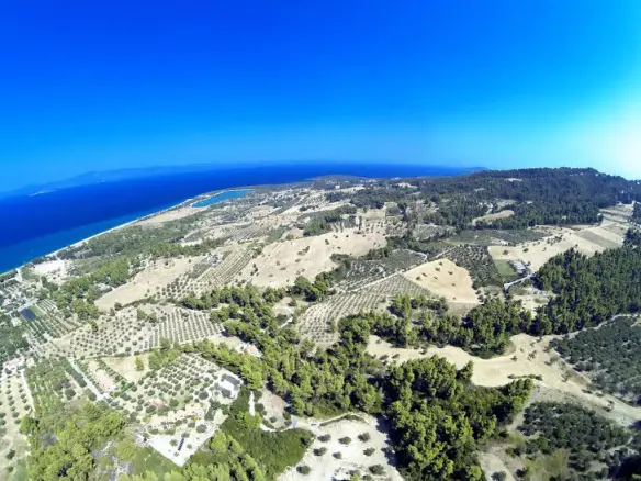 Land In Kassandra, Greece