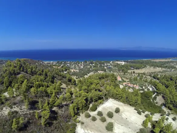 Land In Kassandra, Greece