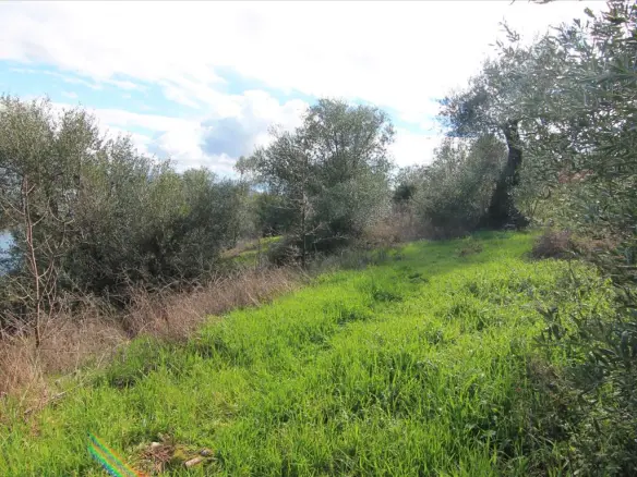Land In Corfu, Greece