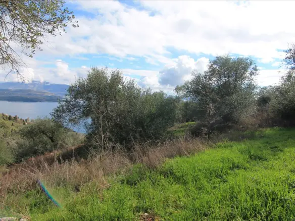 Land In Corfu, Greece