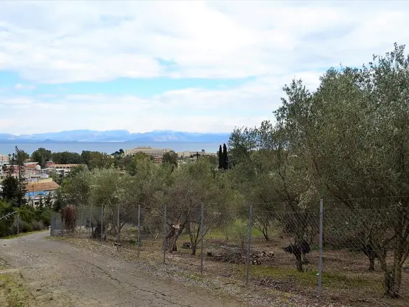 Land In Corfu, Greece