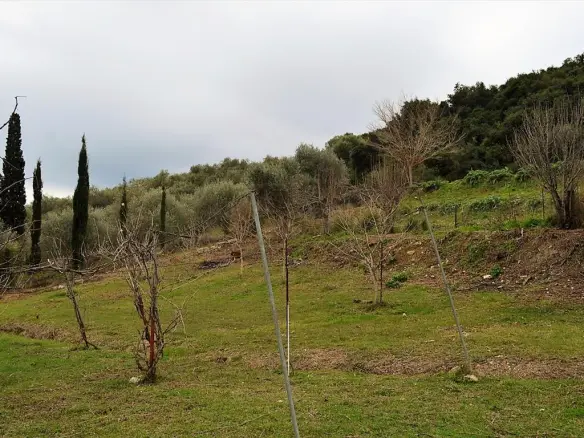 Land In Corfu, Greece