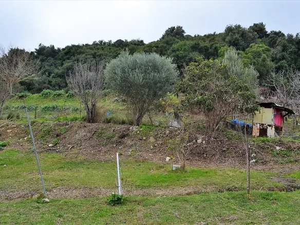 Land In Corfu, Greece