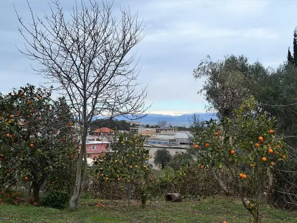Land In Corfu, Greece