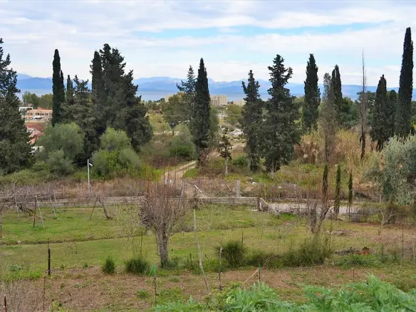Land In Corfu, Greece