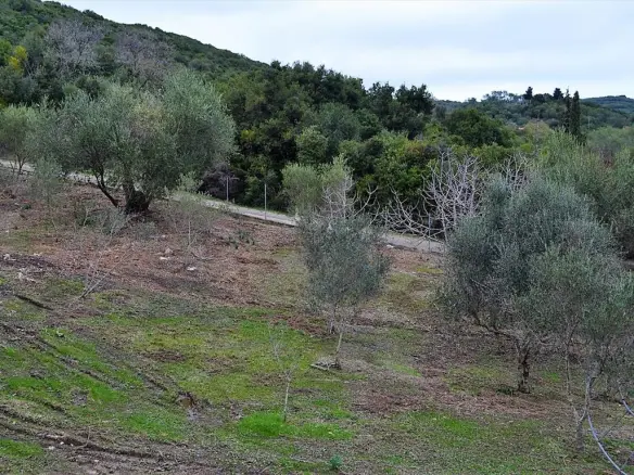 Land In Corfu, Greece
