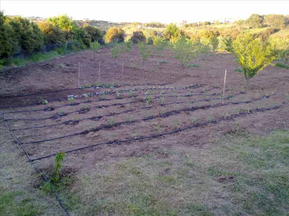 Land In Chortiatis, Greece