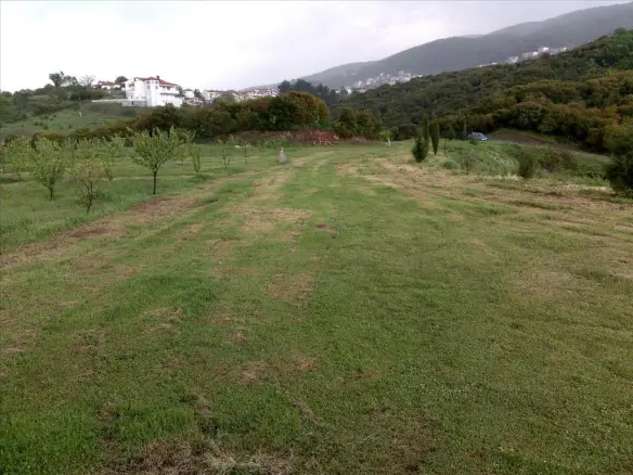 Land In Chortiatis, Greece