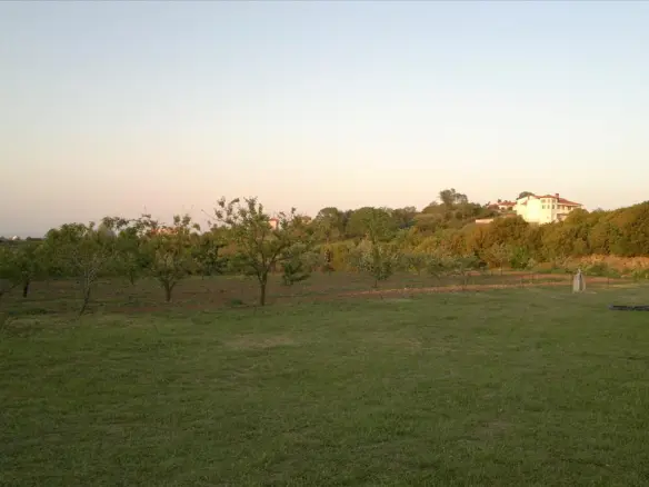 Land In Chortiatis, Greece