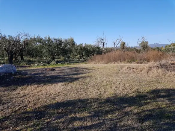 Land In Poligiros, Greece