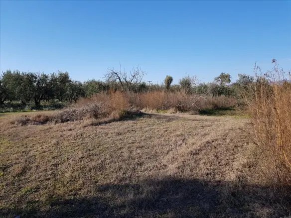 Land In Poligiros, Greece