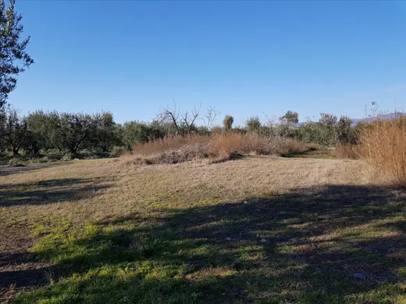 Land In Poligiros, Greece