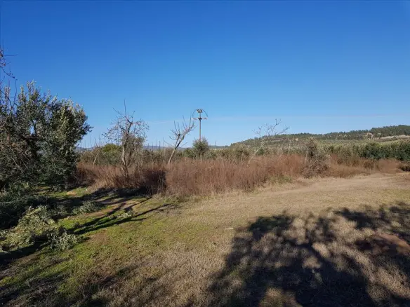 Land In Poligiros, Greece