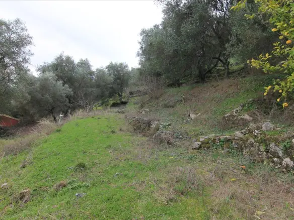 Land In Corfu, Greece