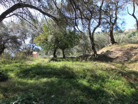 Land In Corfu, Greece