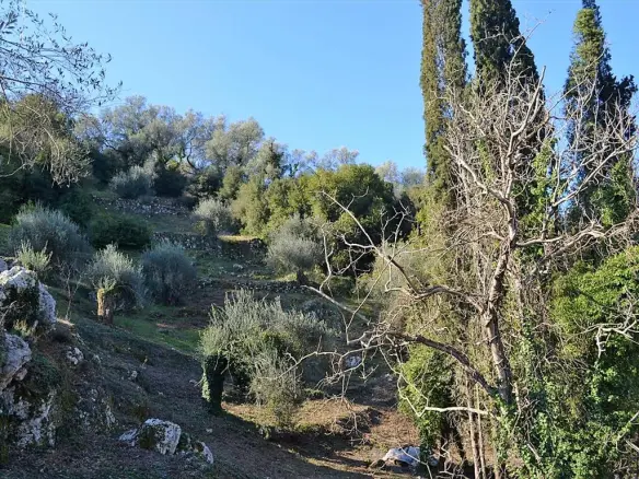 Land In Corfu, Greece
