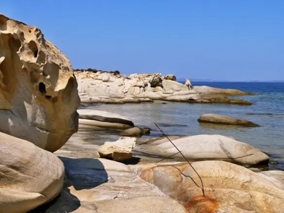 Land In Sithonia, Greece