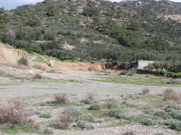 Land In Ierapetra, Greece