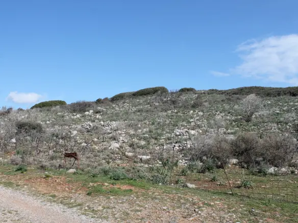 Land In Agios Nikolaos, Greece