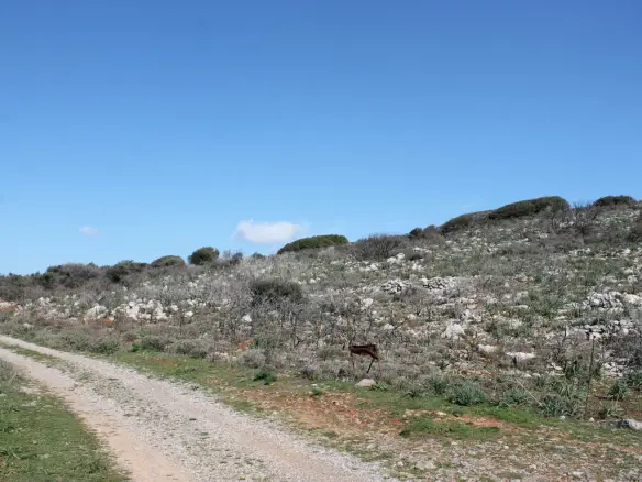Land In Agios Nikolaos, Greece