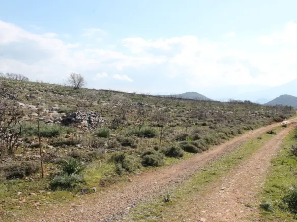 Land In Agios Nikolaos, Greece