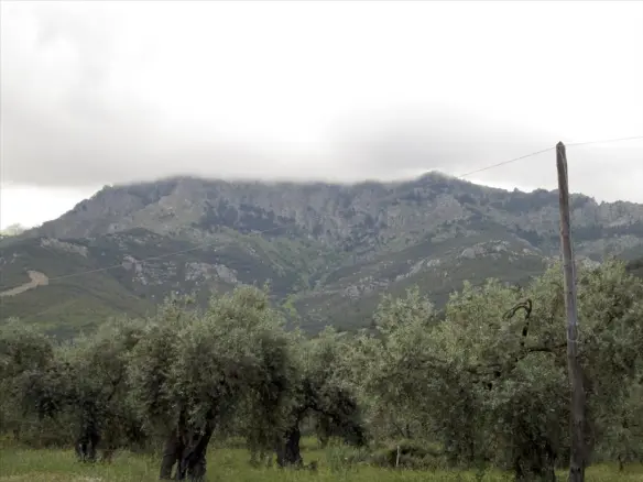 Land In Thasos, Greece