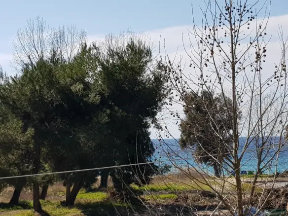 2-bedroom Maisonette In Kassandra, Greece (60 M²)