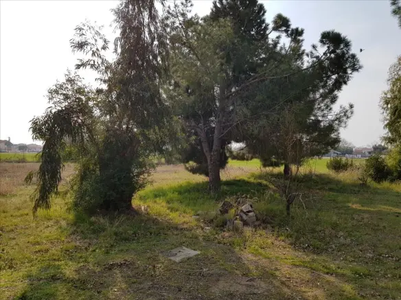 2-bedroom Detached House In Poligiros, Greece (190 M²)