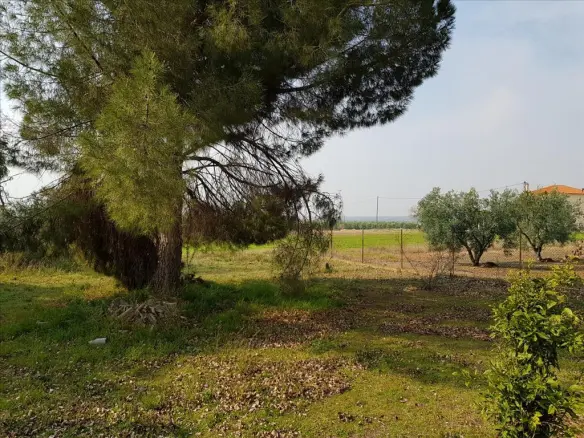 2-bedroom Detached House In Poligiros, Greece (190 M²)