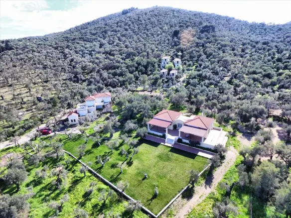 Business In Lesvos – Geras, Greece (1.170 M²)