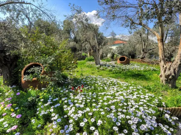 Business In Lesvos – Geras, Greece (1.170 M²)