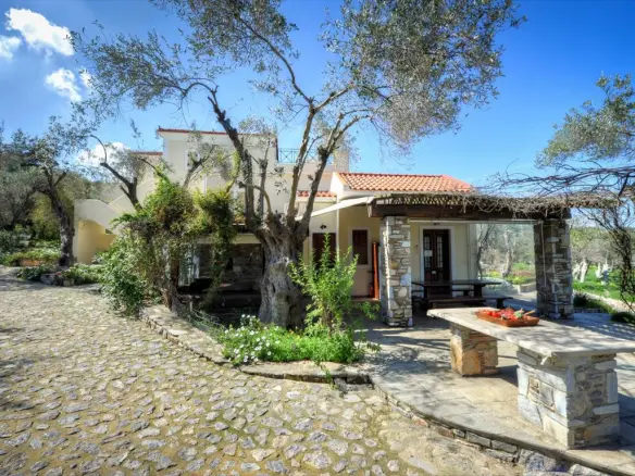 Business In Lesvos – Geras, Greece (1.170 M²)