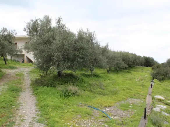 Business In Neapoli, Greece (105 M²)