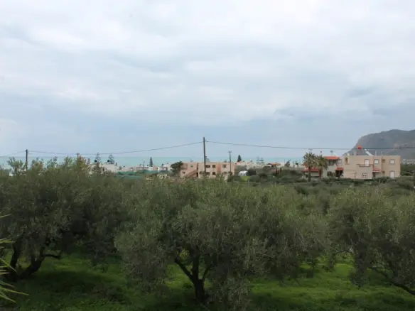 Business In Neapoli, Greece (105 M²)