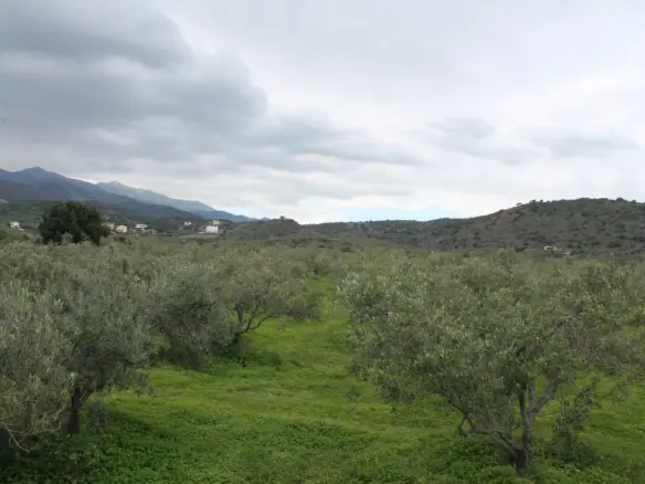 Business In Neapoli, Greece (105 M²)