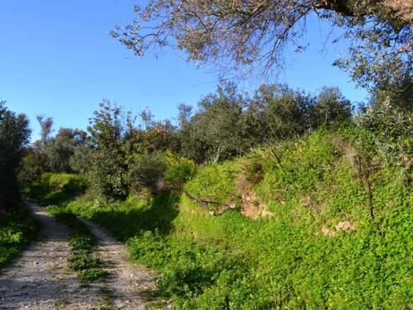 Land In Arkadi, Greece