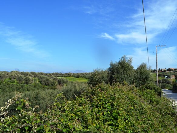 Land In Arkadi, Greece