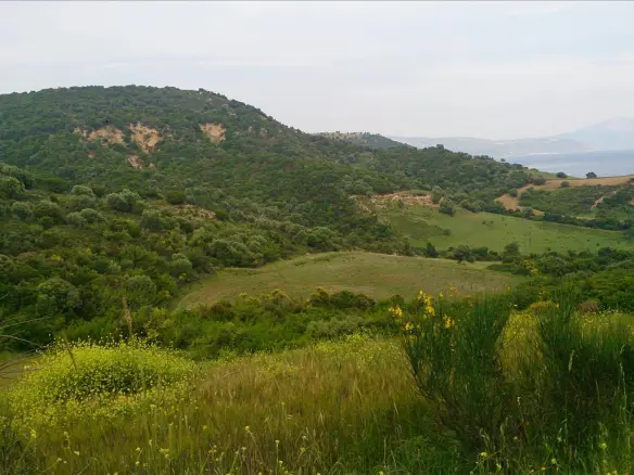Land In Aristotle, Greece (11.300 M²)