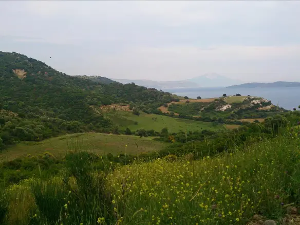 Land In Aristotle, Greece (11.300 M²)