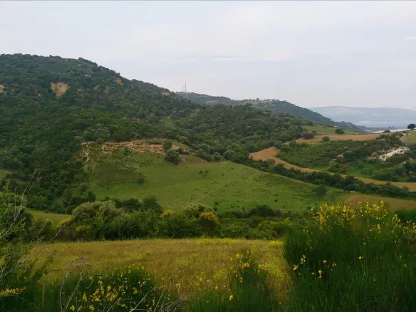 Land In Aristotle, Greece (11.300 M²)