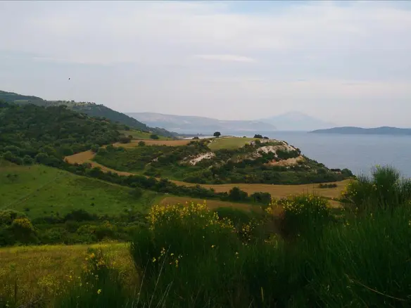 Land In Aristotle, Greece (11.300 M²)