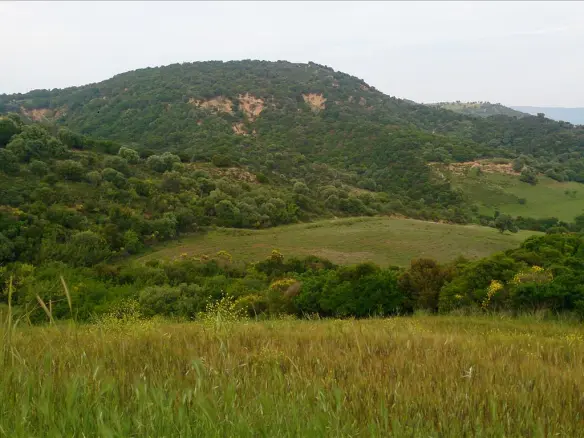 Land In Aristotle, Greece (11.300 M²)