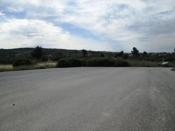 Land In Kassandra, Greece