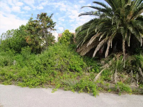 Land In Kassandra, Greece