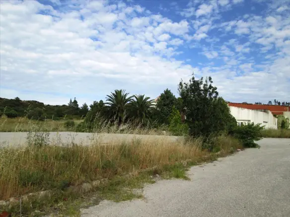 Land In Kassandra, Greece