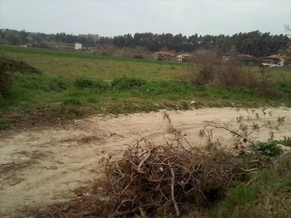 Land In Kassandra, Greece
